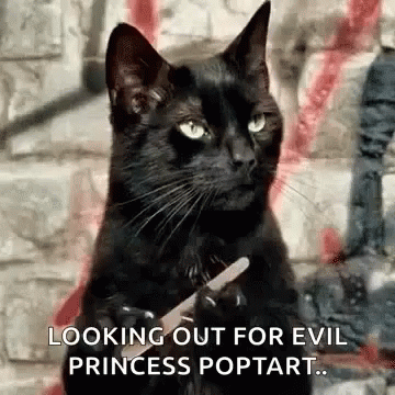 Looking Out For Evil Princess Poptart Cat GIF - Looking Out For Evil Princess Poptart Cat Annoyed GIFs