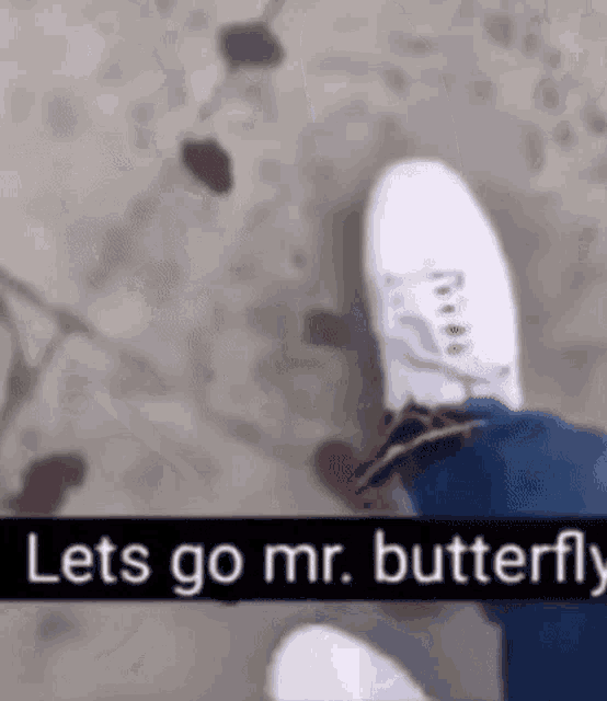 Acidbleeder Butterfly GIF