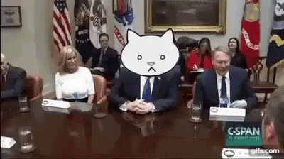 Trump Cat GIF - Trump Cat Water GIFs