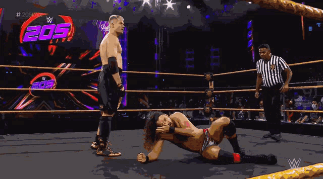 wrestlers in a ring with the number 205 on the wall behind them