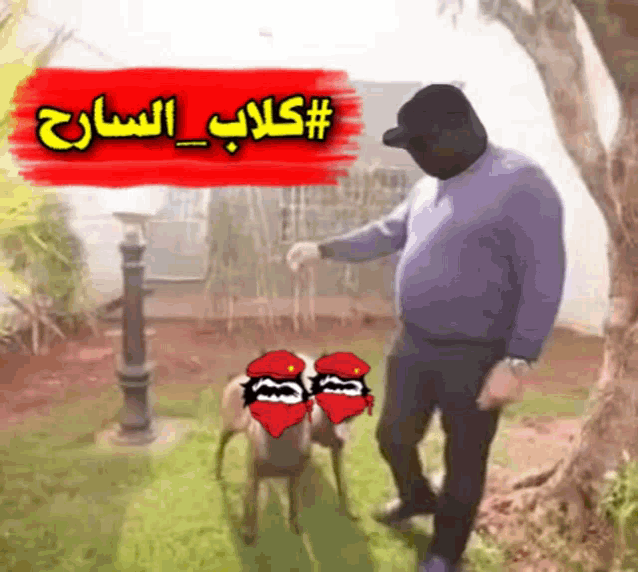 a man wearing a mask is feeding a sheep in front of a sign that says #clap_sarag