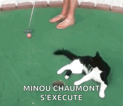 Golf Cat GIF - Golf Cat Cat Interference GIFs