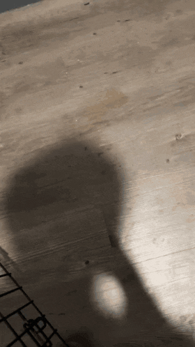 a person 's shadow is cast on a wood floor