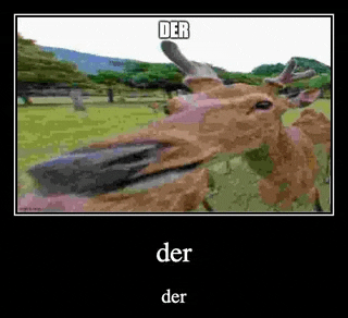 a picture of a deer making a funny face in a field with the word der on it .