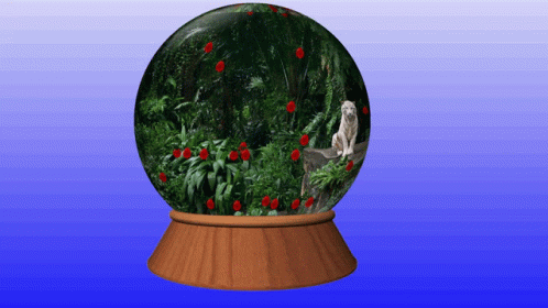 Terrarium Globe GIF - Terrarium Globe Spin GIFs