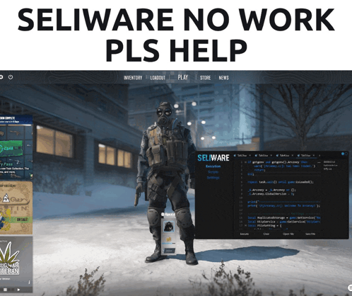 a screenshot of a video game with the words selware no work pls help