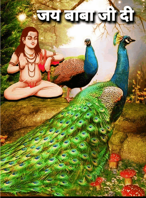 a painting of a peacock and a man in a lotus position with the words " jay baba ji " above