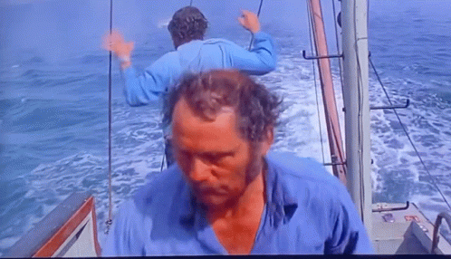 Quint Jaws GIF - Quint Jaws GIFs