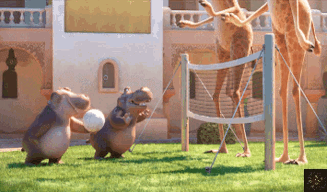 a group of hippos and giraffes are playing volleyball on a lush green field
