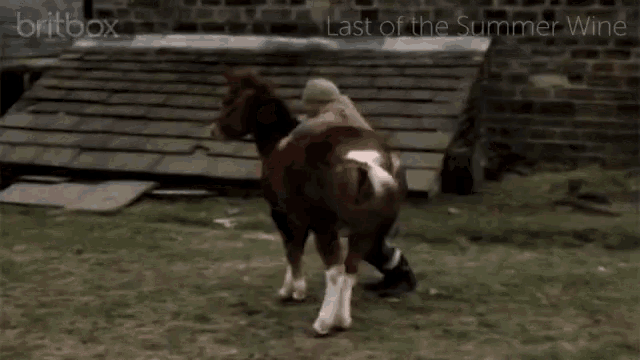 a man and a cow are in a field with the words last of the summer wine written on the bottom