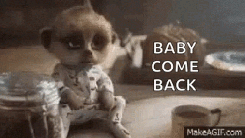 Miss You Meerkat GIF - Miss You Meerkat Want To Hold You GIFs