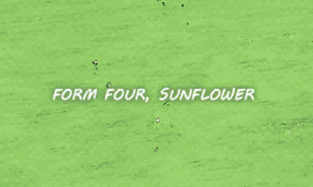 a green plant with the words " form four sunflower " above it