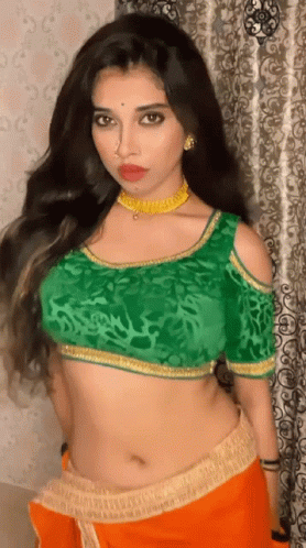 Shashavali Saree GIF - Shashavali Saree GIFs