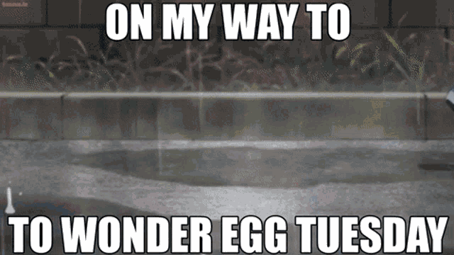 Wonder Egg Wonder Egg Priority GIF - Wonder Egg Wonder Egg Priority Wonder Egg Tuesday GIFs
