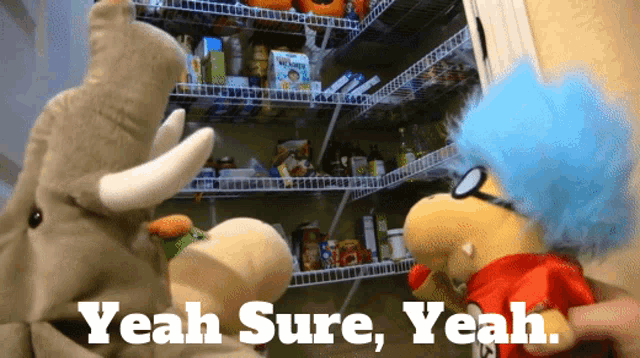 two stuffed animals are standing in front of a pantry with the words " yeah sure yeah " on the bottom