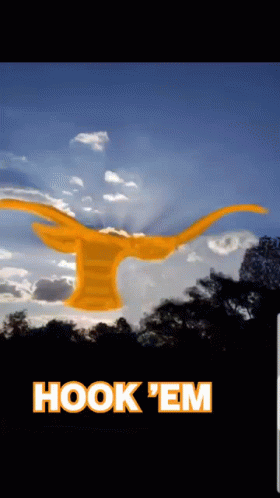 Hook Em Texas GIF - Hook Em Texas GIFs