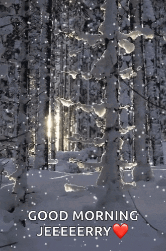 a snowy forest with the words good morning jeeeeerry