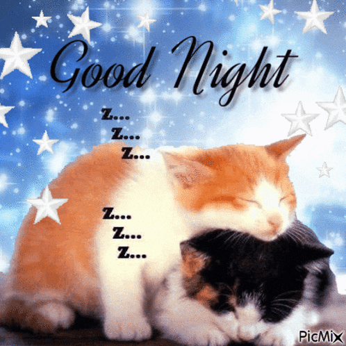 two cats sleeping next to each other with the words " good night " written above them
