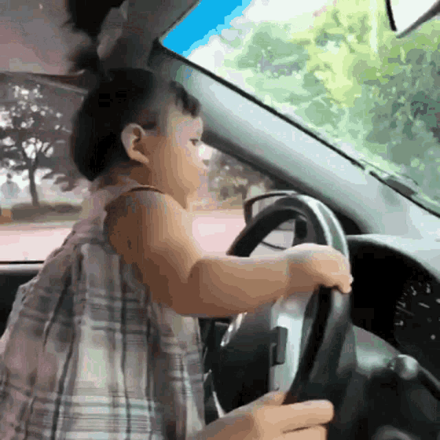 a little girl in a plaid dress is playing with the steering wheel