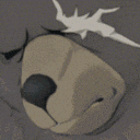 a close up of a bear 's face with a bird flying over it
