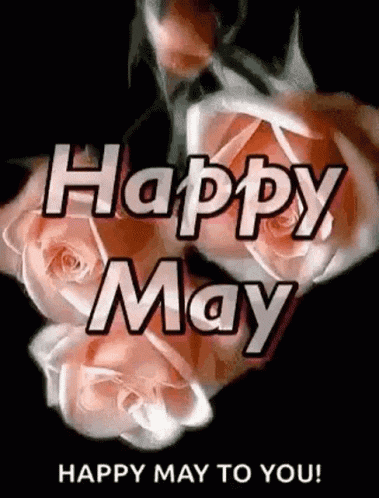 a happy may to you greeting card with roses on a black background