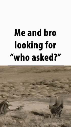 Me And Bro Looking For Who Asked GIF