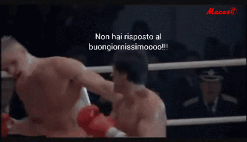 Rocky Buongiornissimo GIF - Rocky Buongiornissimo Fight GIFs