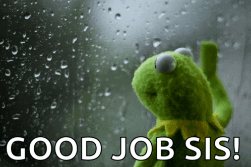 kermit the frog is looking out a window with the words good job sis