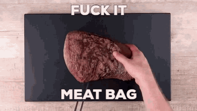 Meatbag Fuck It GIF - Meatbag Fuck It Open Up GIFs