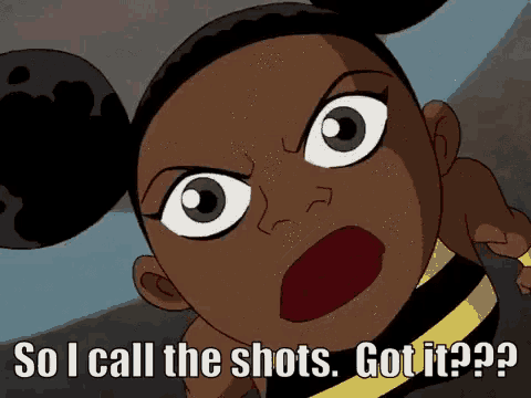 Teen Titans Bumblebee GIF
