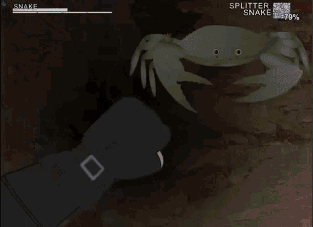 a man with a beard is holding a crab in his hand in a video game called snake