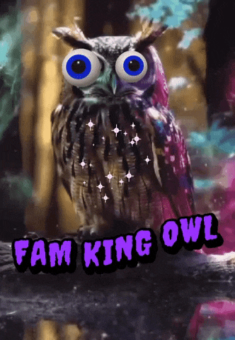 a colorful owl with big blue eyes sits on a branch with the words fam king owl above it