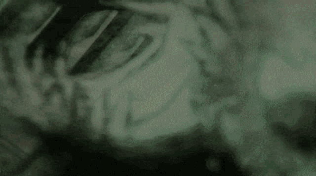 a close up of a person 's face with a skull on it .