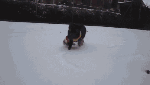 a person is crawling in the snow while wearing a yellow jacket