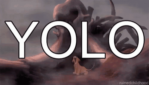 a picture of a lion and a skull with the word yolo