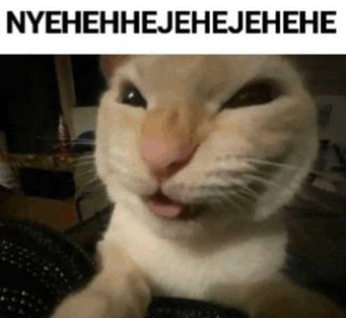Cat Evil Laugh GIF