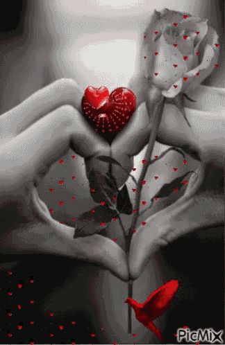 a couple of hands making a heart shape with a rose