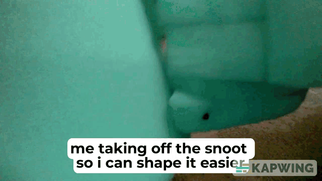 a screenshot of a video that says me taking off the snoot so i can shape it easier on the bottom