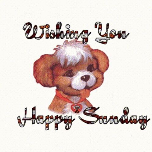 Wishing You Happy Sunday शुभरविवार GIF