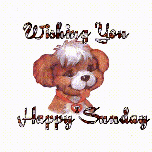 a picture of a dog wishing someone happy sunday