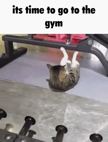 Its Time To Go To The Gym GIF - Its Time To Go To The Gym GIFs