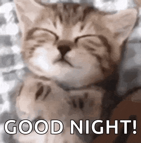 a kitten is sleeping with its eyes closed and says `` good night '' .