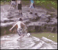 Watch Out For That... GIF - Kidfails Swing Funny GIFs