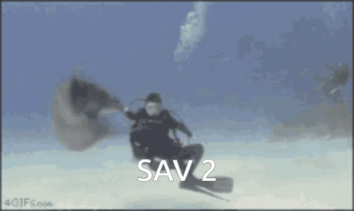 Sav2 Diving GIF - Sav2 Diving Spin GIFs
