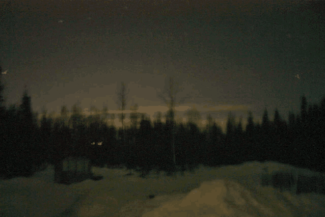 a dark night sky with trees in the foreground and snow on the ground in the background