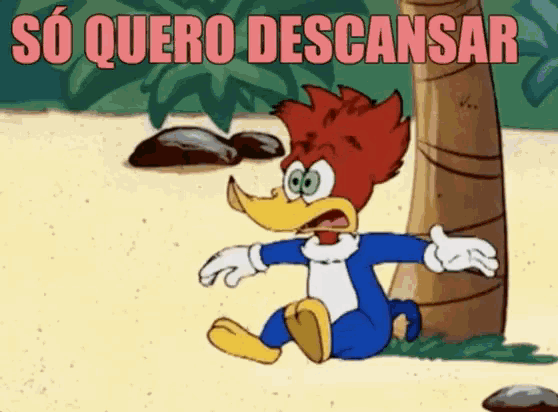 woody woodpecker is sitting on the beach and the words so quero descansar are above him