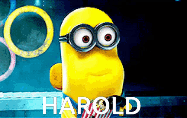 a picture of a minion with the name harold