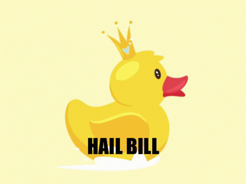 Hail Bill Duck GIF - Hail Bill Hail Bill GIFs