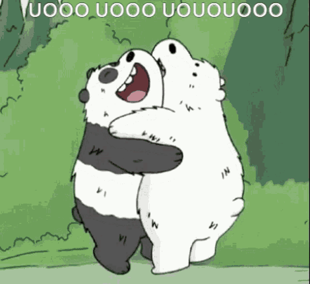 a panda bear and a polar bear hugging each other .