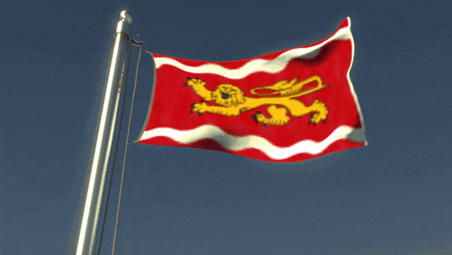 a red white and yellow flag with a yellow lion on it